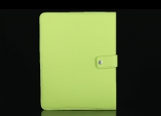 Etui Rigide pour iPad Pro 9,7" - Cuir Vachette Panama (Vert Anis)